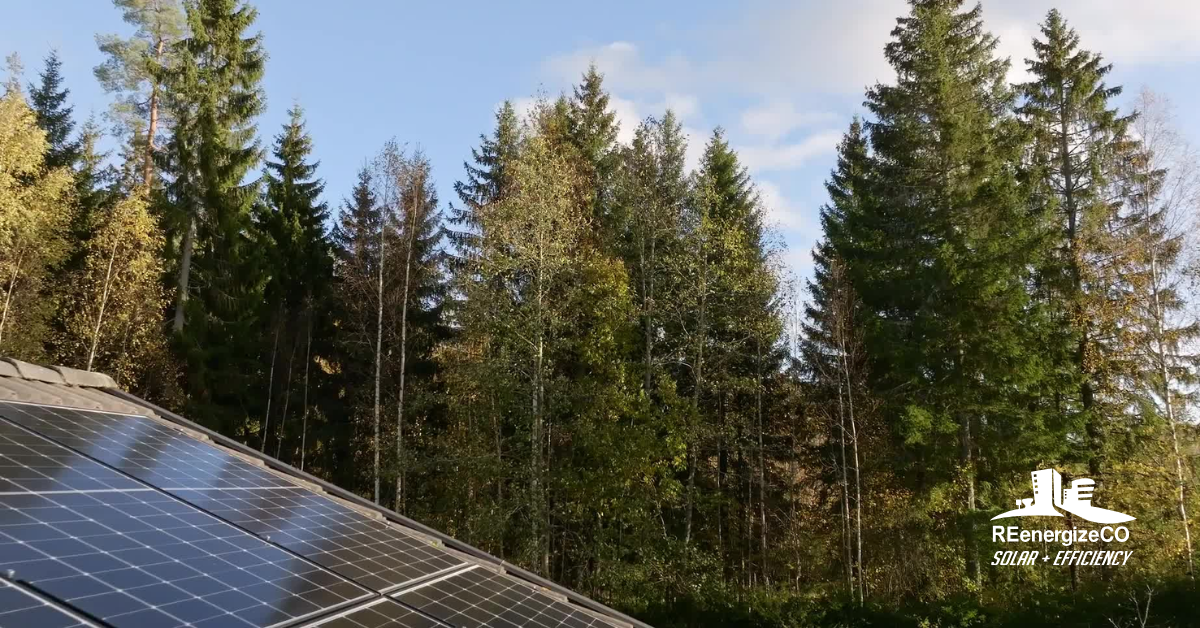 5 Tips for Buying Solar Panels – Colorado Edition